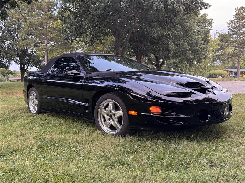 Used 2001 Pontiac Firebird Trans Am RWD image 5