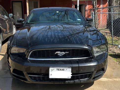 Used 2014 Ford Mustang Premium w/ Equipment Group 201A image 1