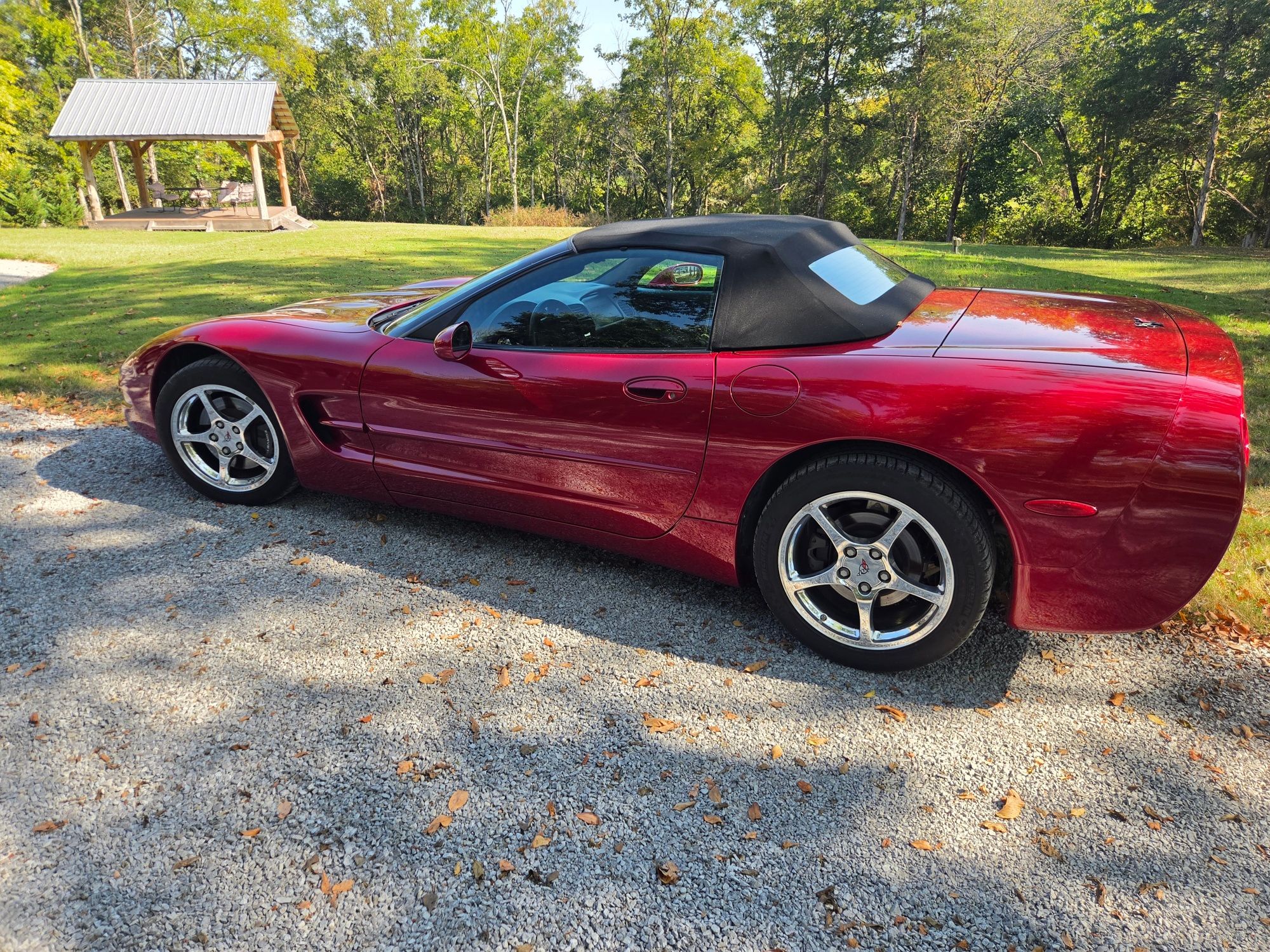 Used 2000 Chevrolet Corvette Convertible w/ Memory Pkg RWD image 1