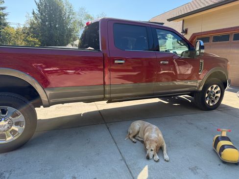 Used 2019 Ford F350 King Ranch w/ King Ranch Ultimate Package image 1