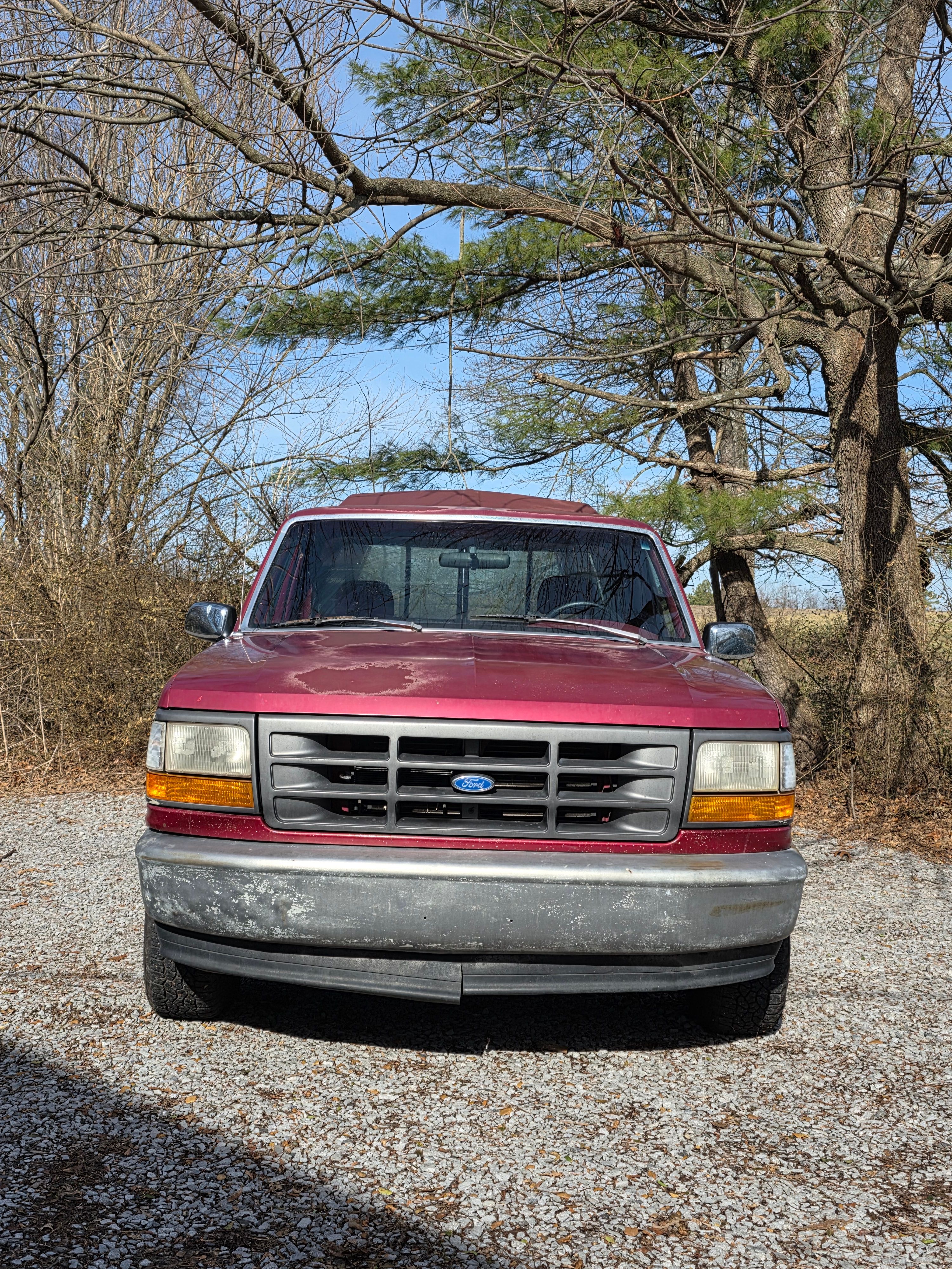 Used 1994 Ford F150 XL RWD image 1