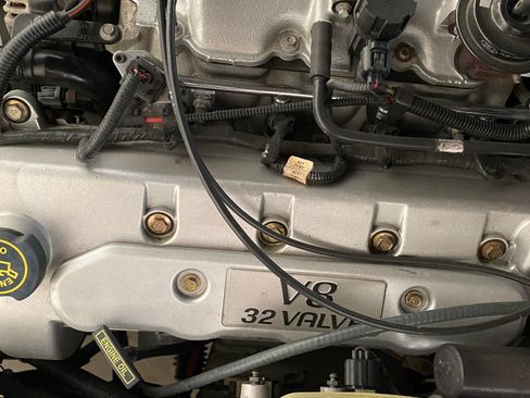 Used 1999 Ford Mustang Cobra RWD image 18