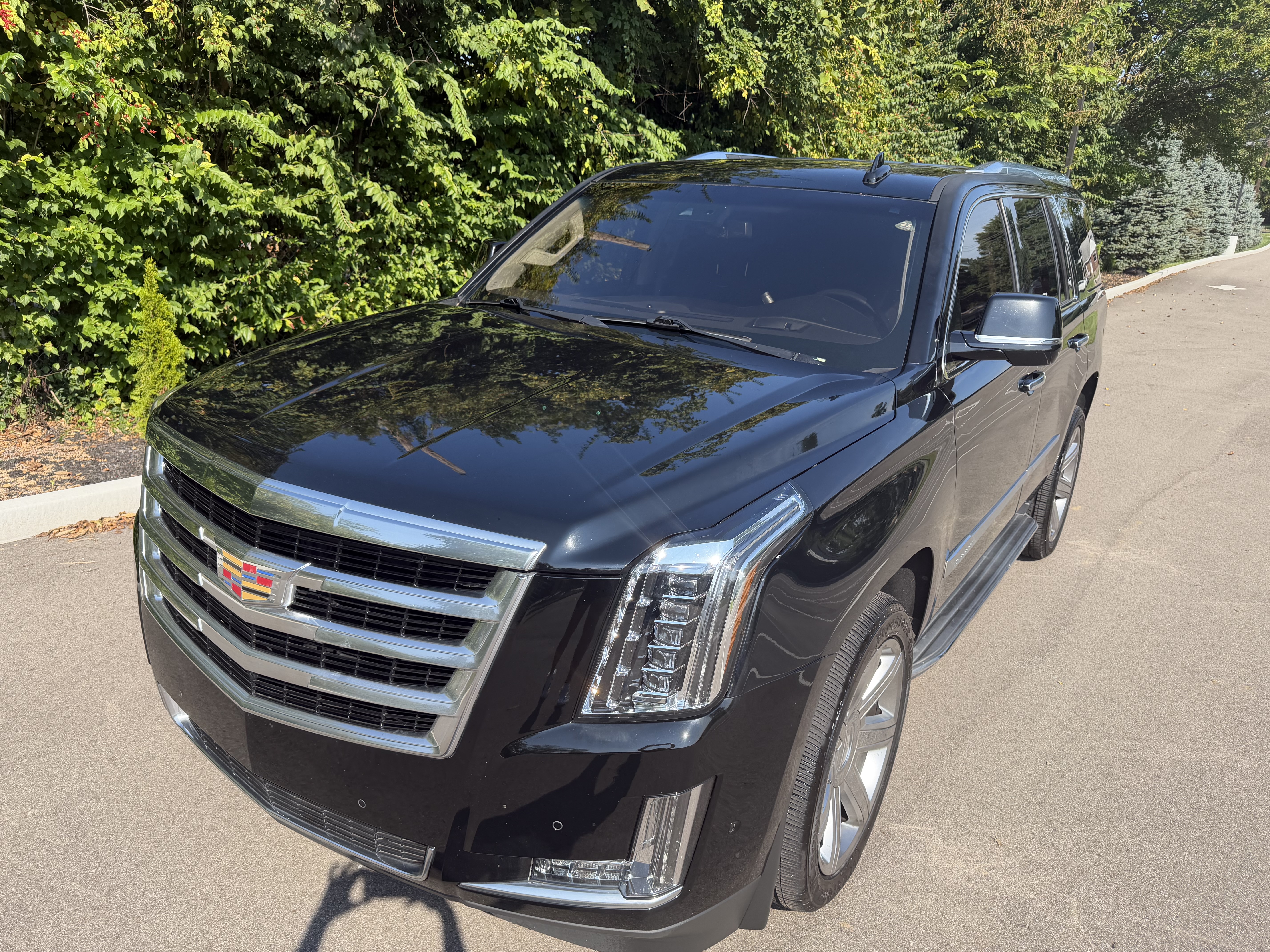 Used 2019 Cadillac Escalade Luxury RWD image 4
