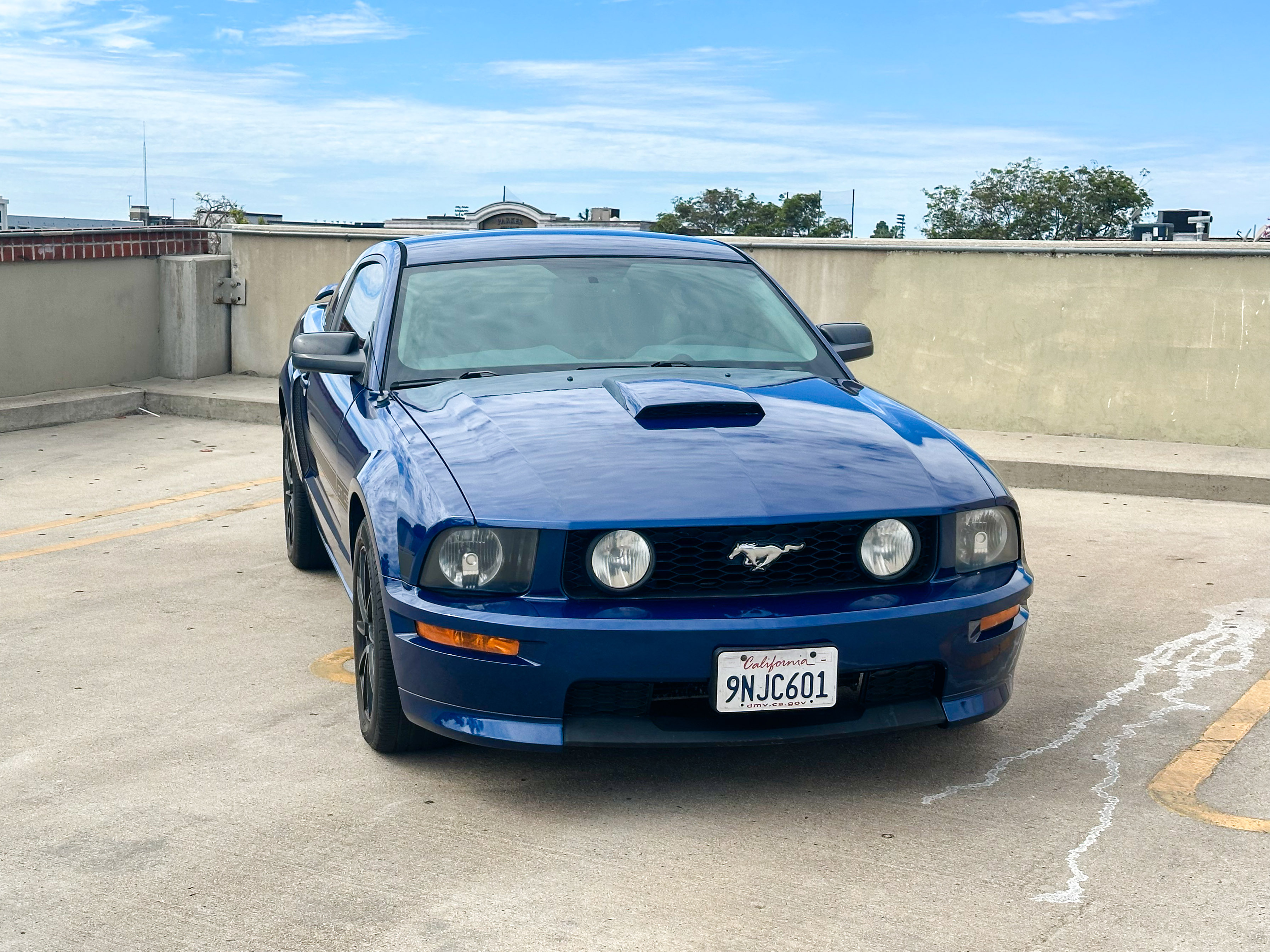 Used 2008 Ford Mustang GT Premium RWD image 1