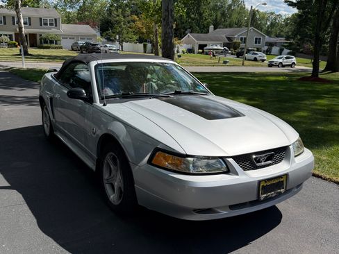 Used 2004 Ford Mustang Convertible RWD image 15