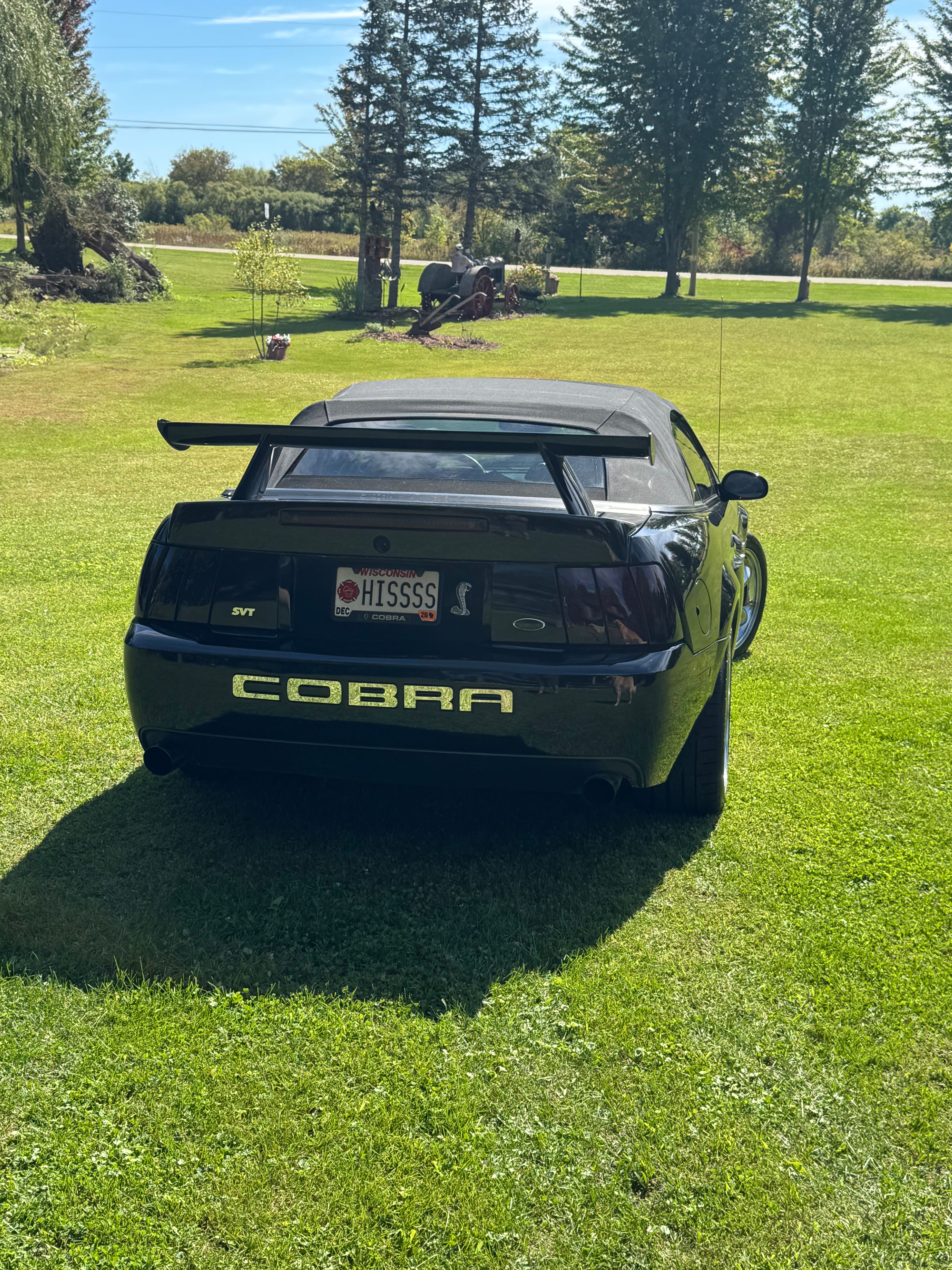Used 2004 Ford Mustang Cobra RWD image 14