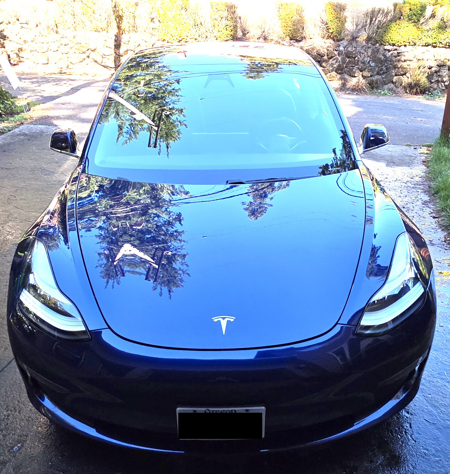 Used 2018 Tesla Model 3 Long Range AWD/4WD image 2