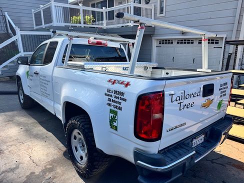 Used 2019 Chevrolet Colorado W/T w/ WT Convenience Package image 5