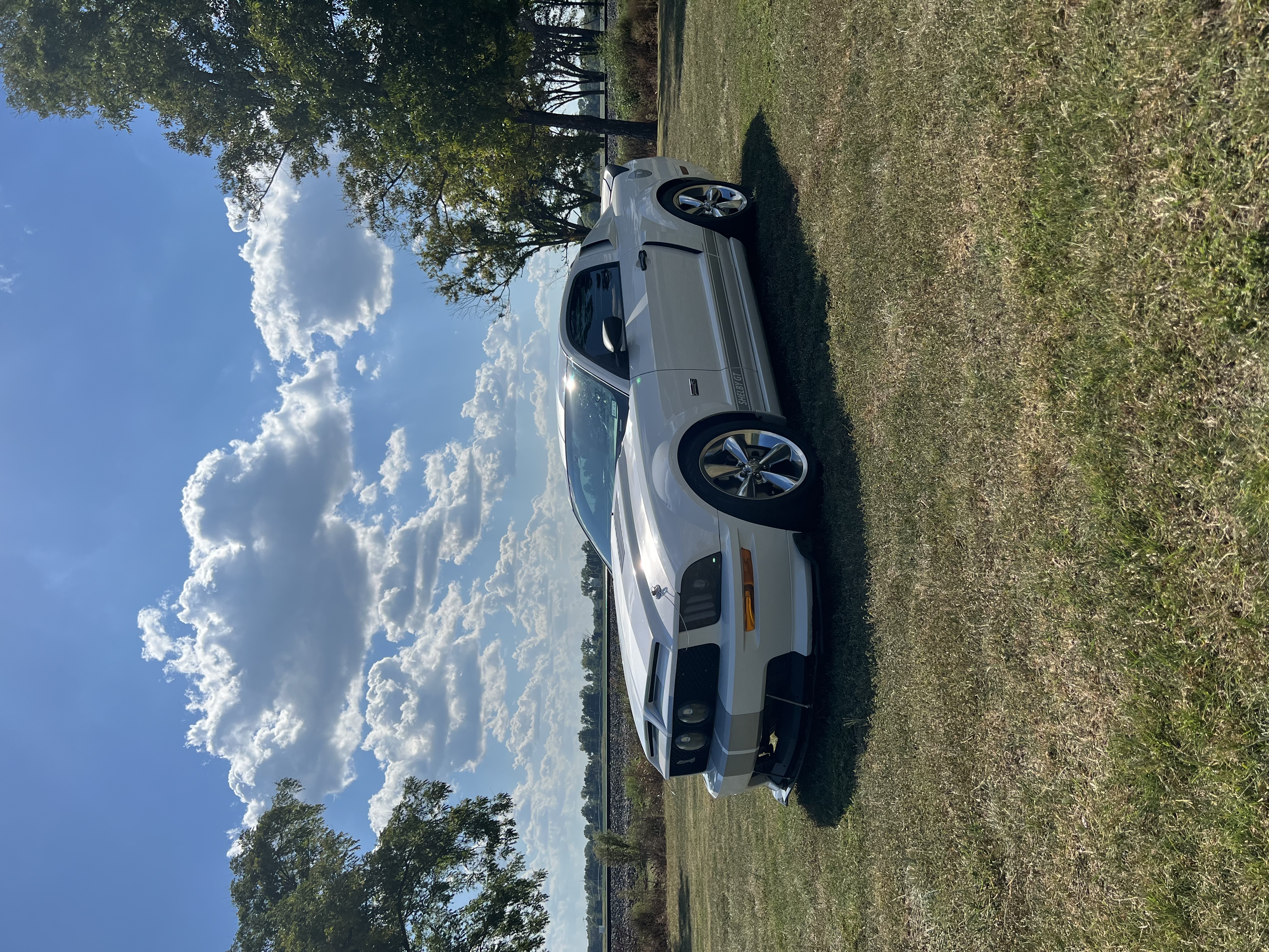 Used 2007 Ford Mustang GT Premium RWD image 1