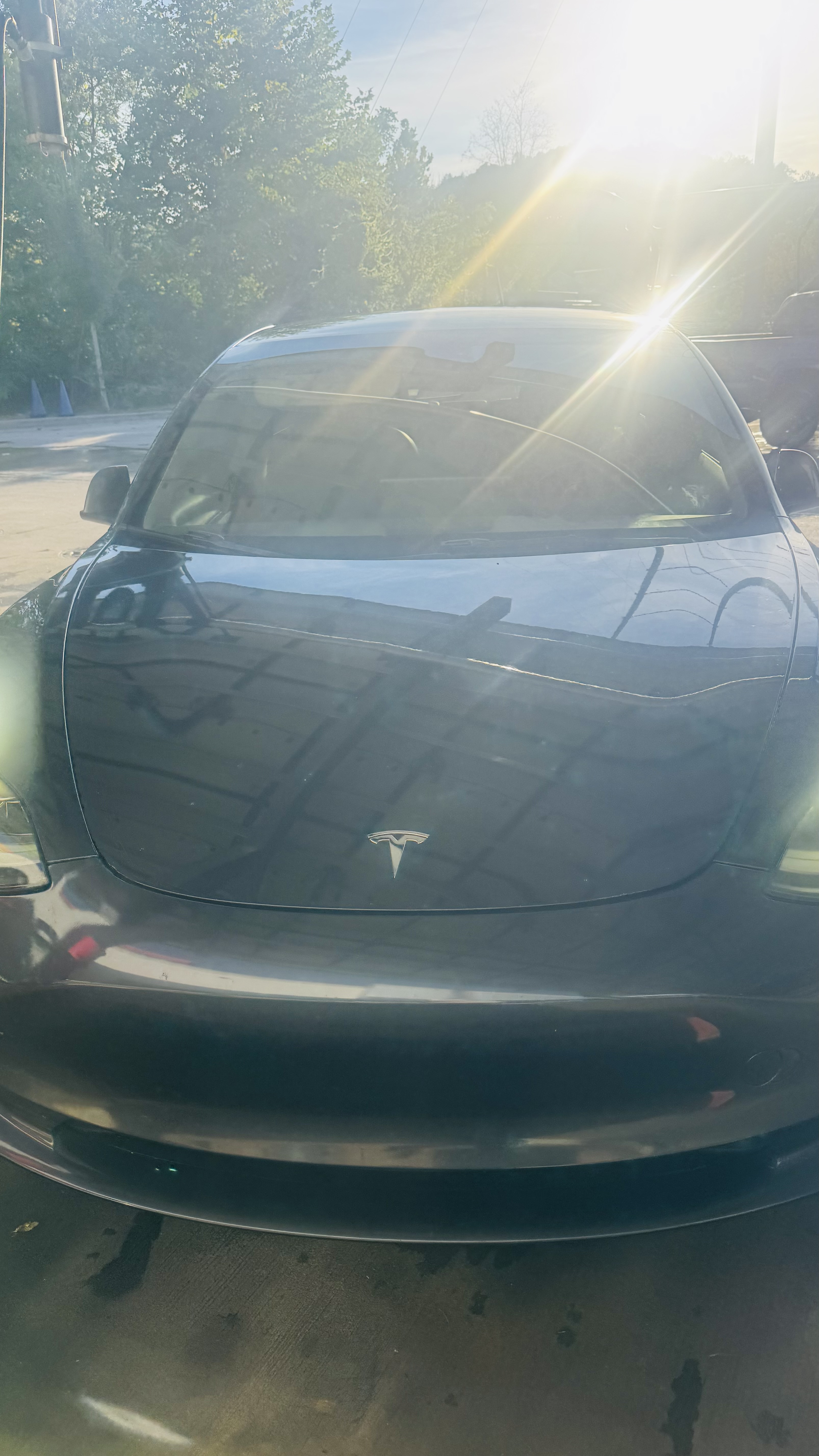 Used 2021 Tesla Model 3 Standard Range Plus RWD image 18