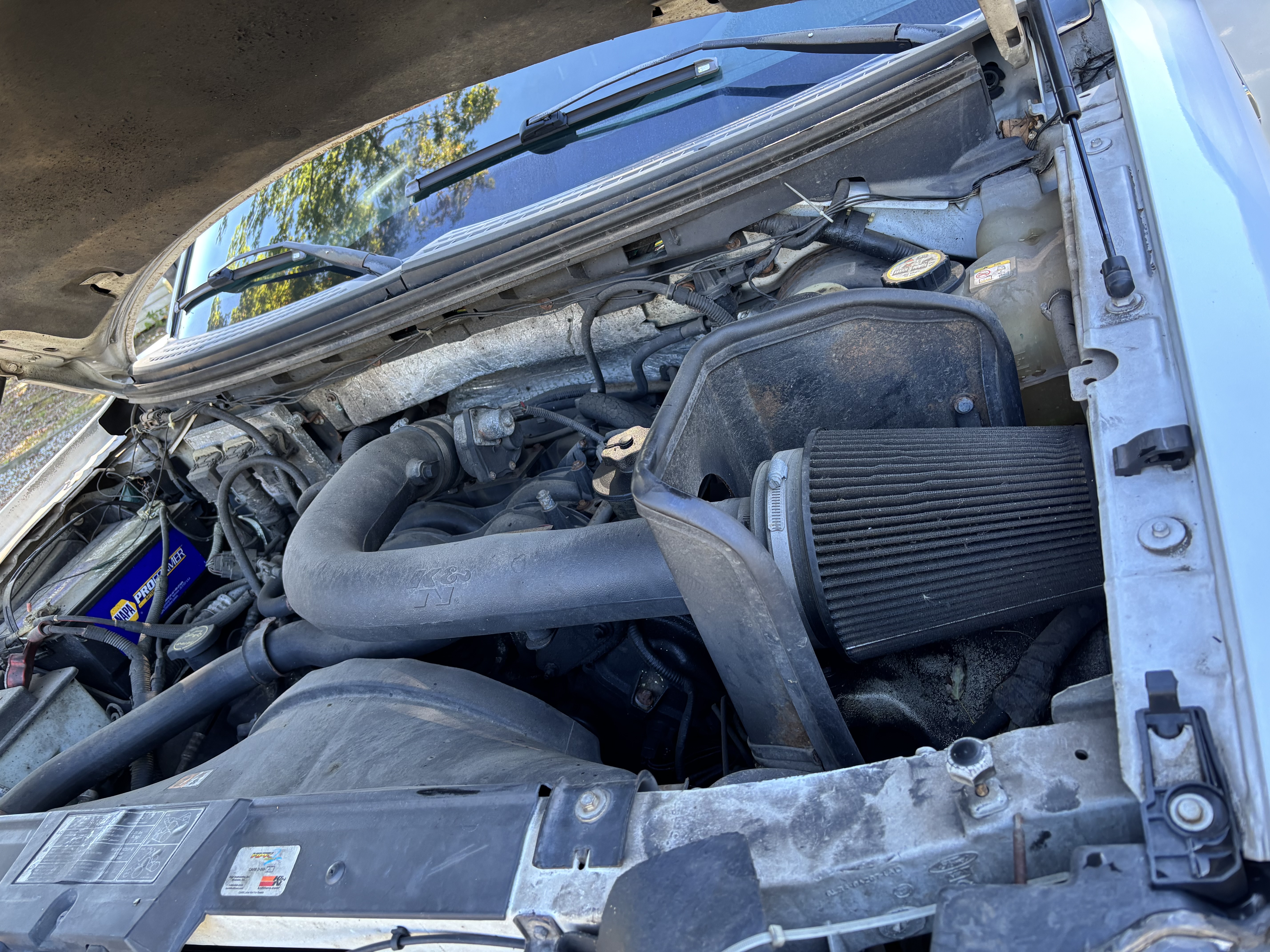 Used 2007 Ford F150 XLT AWD/4WD image 12