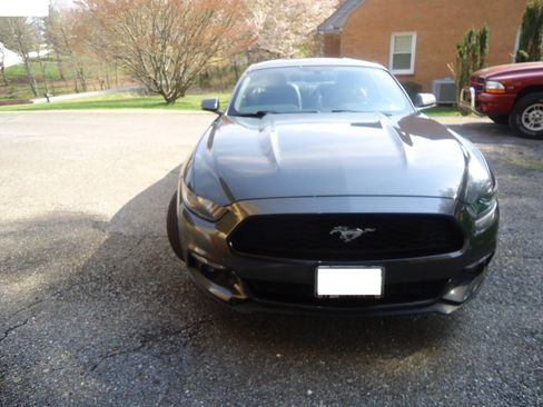 Used 2017 Ford Mustang Premium image 2