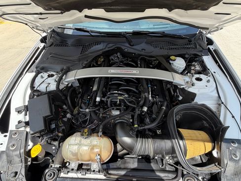 Used 2019 Ford Mustang Shelby GT350 w/ Technology Package RWD image 12