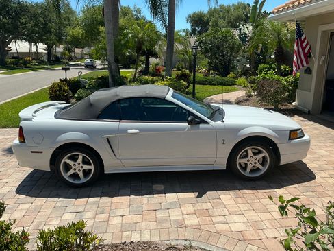 Used 2001 Ford Mustang Cobra RWD image 16