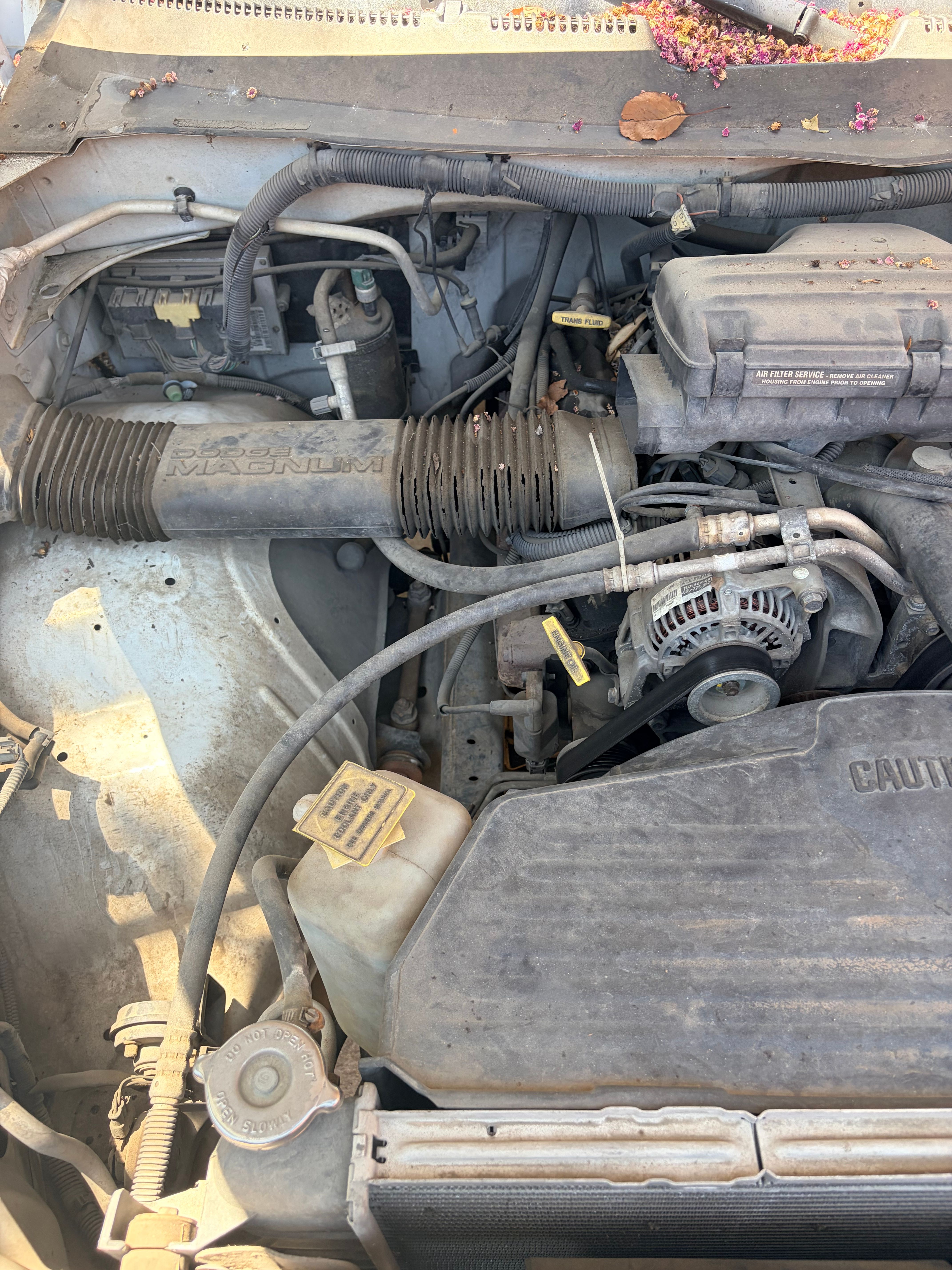 Used 1998 Dodge Ram 1500 Truck 2WD Quad Cab image 16