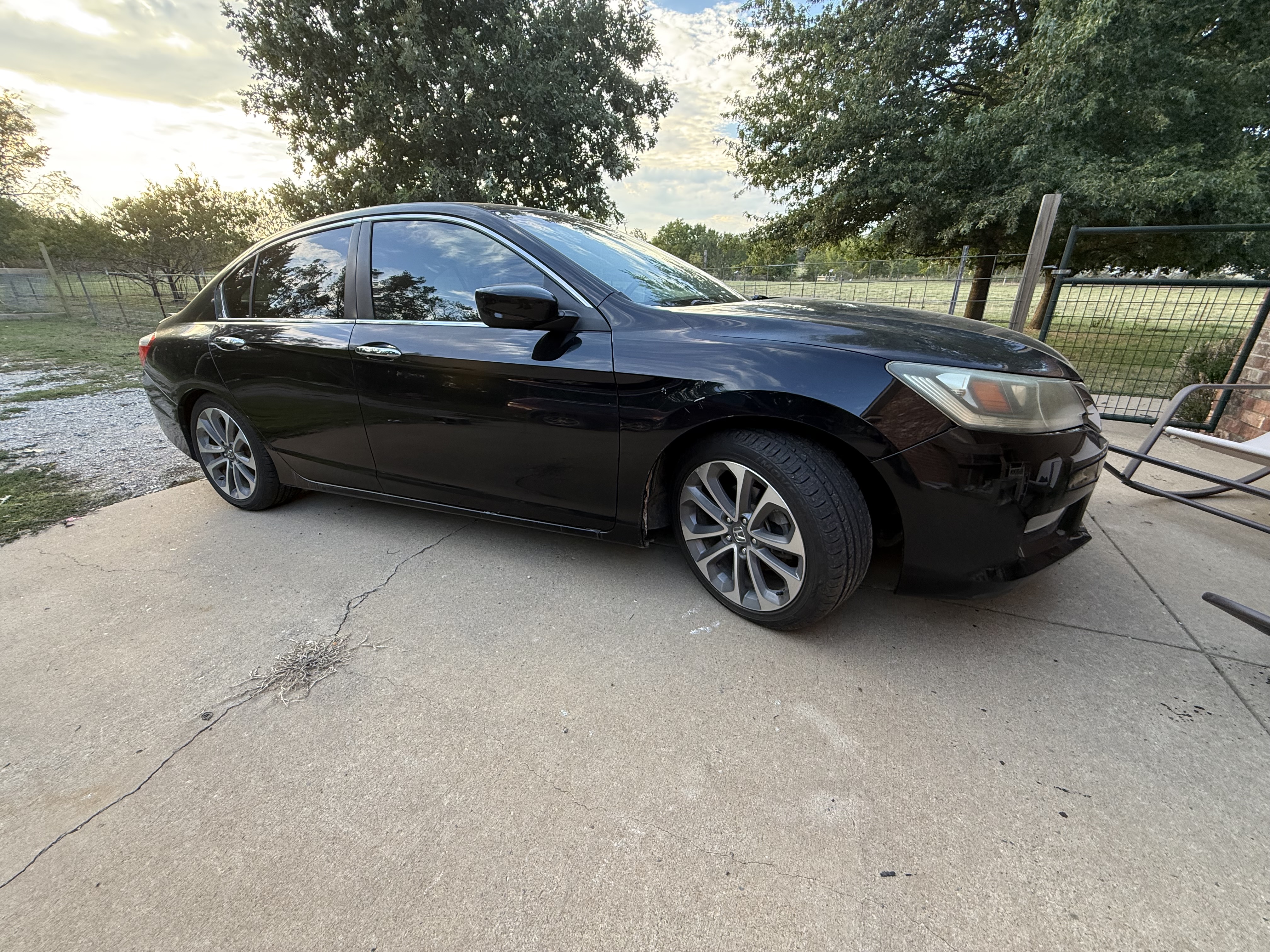 Used 2013 Honda Accord Sport image 1