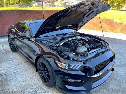 Used 2018 Ford Mustang Shelby GT350 w/ Convenience Package image 4