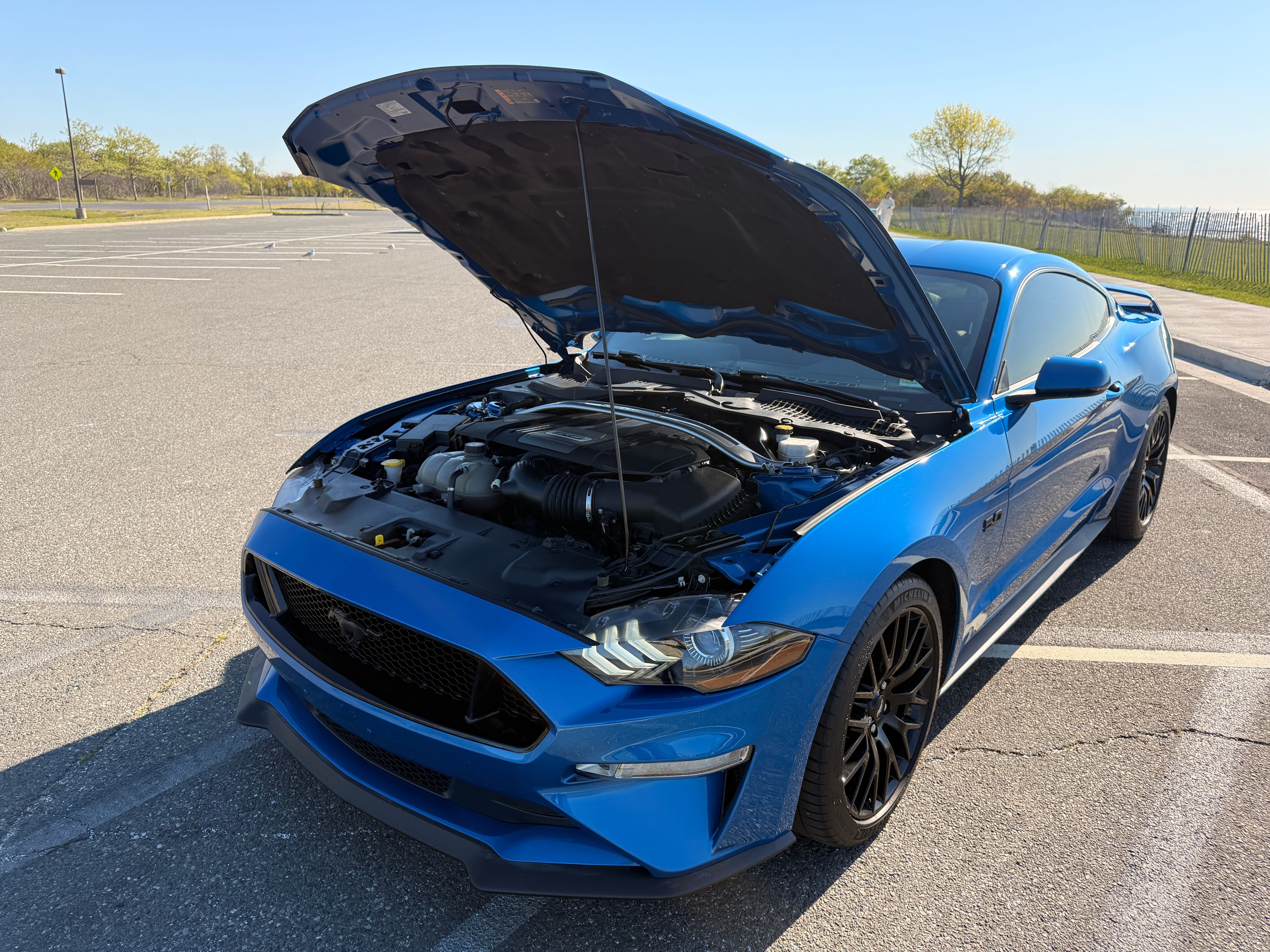 Used 2019 Ford Mustang GT Premium w/ GT Performance Package RWD image 22