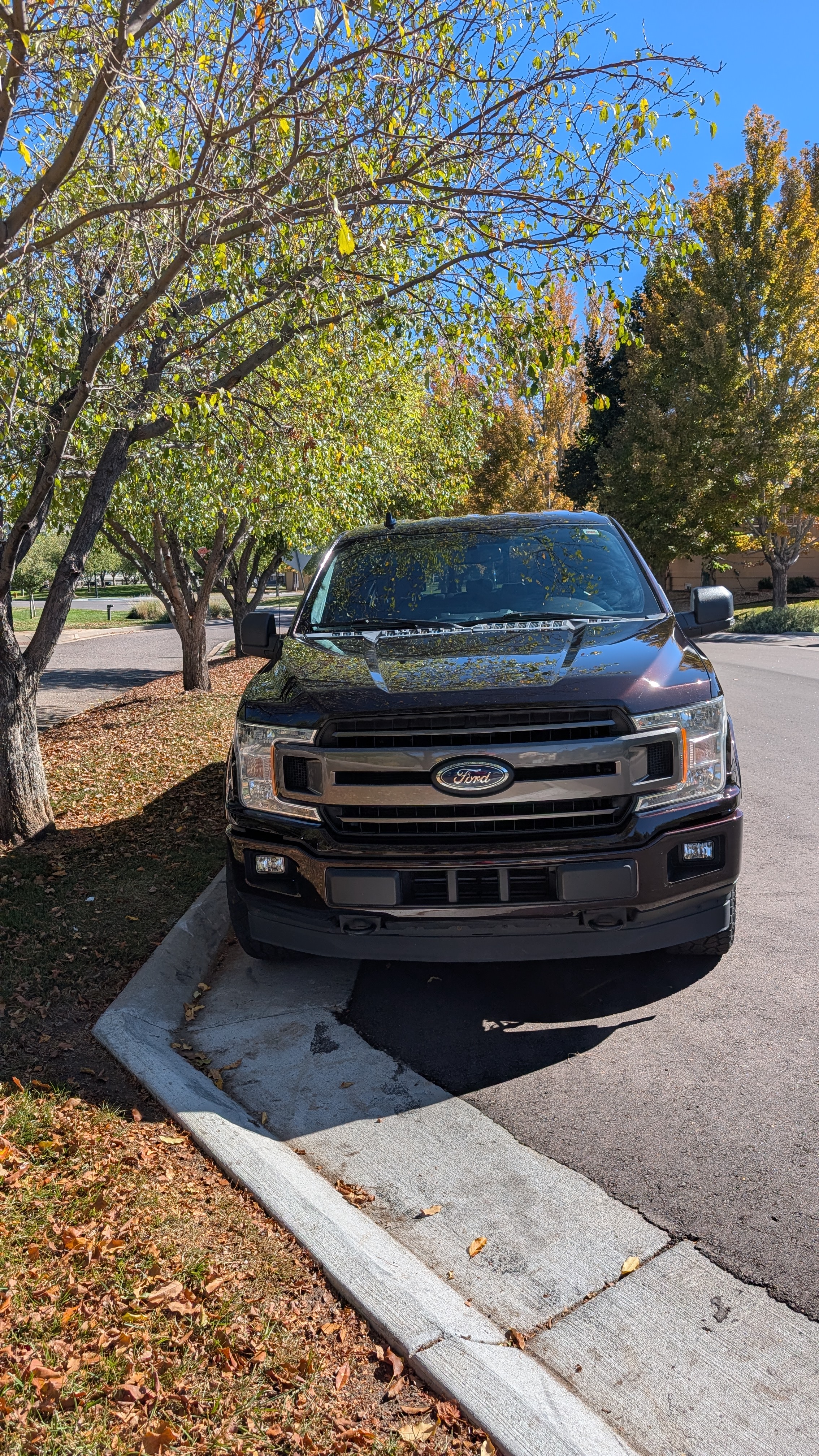 Used 2018 Ford F150 XLT w/ Equipment Group 302A Luxury AWD/4WD image 11