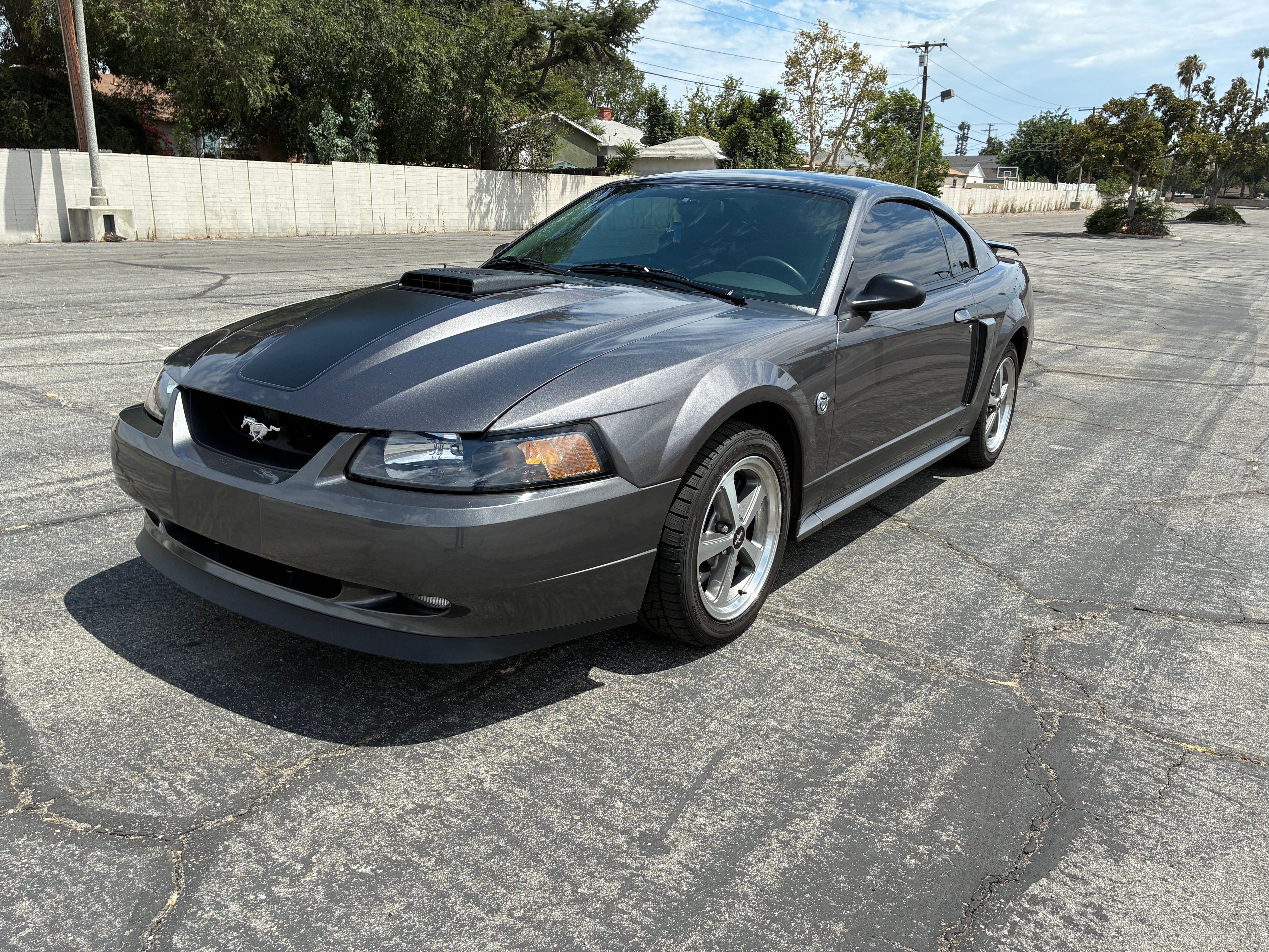 Used 2004 Ford Mustang Mach 1 RWD image 6