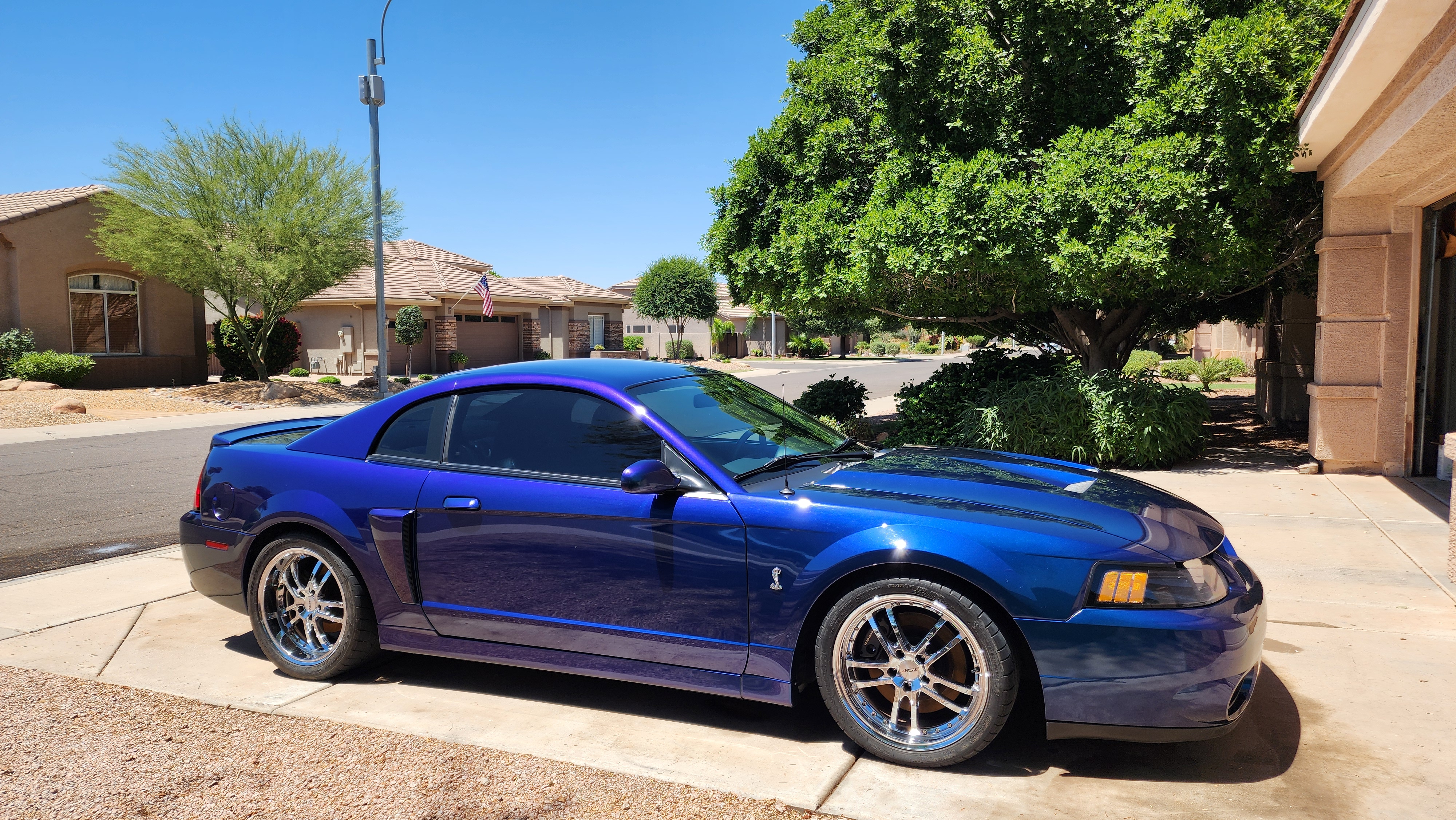 Used 2004 Ford Mustang Cobra RWD image 16