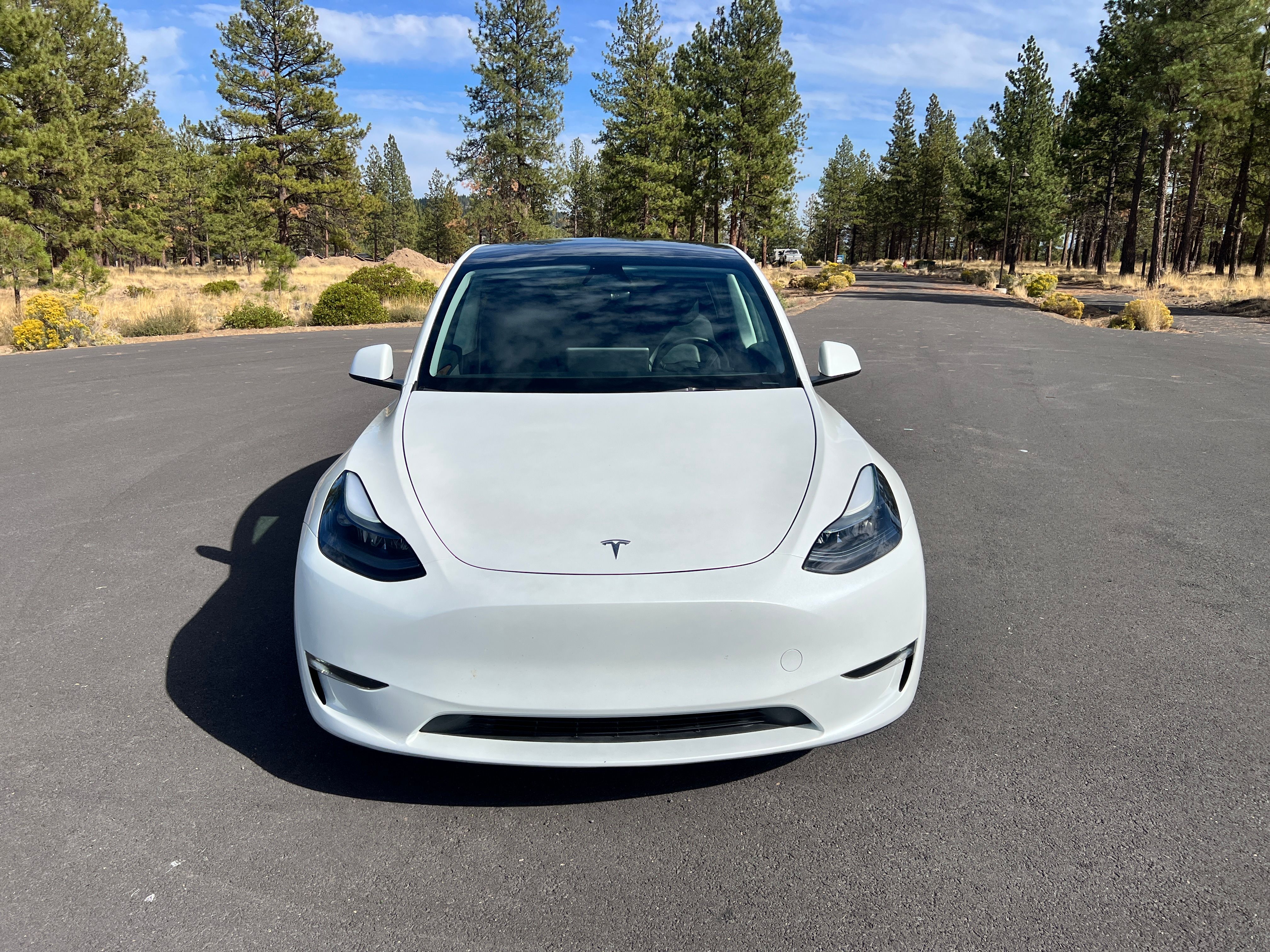 Used 2024 Tesla Model Y Long Range AWD/4WD image 2