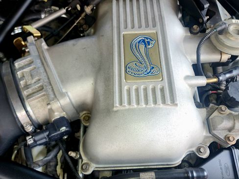 Used 1998 Ford Mustang Cobra image 8