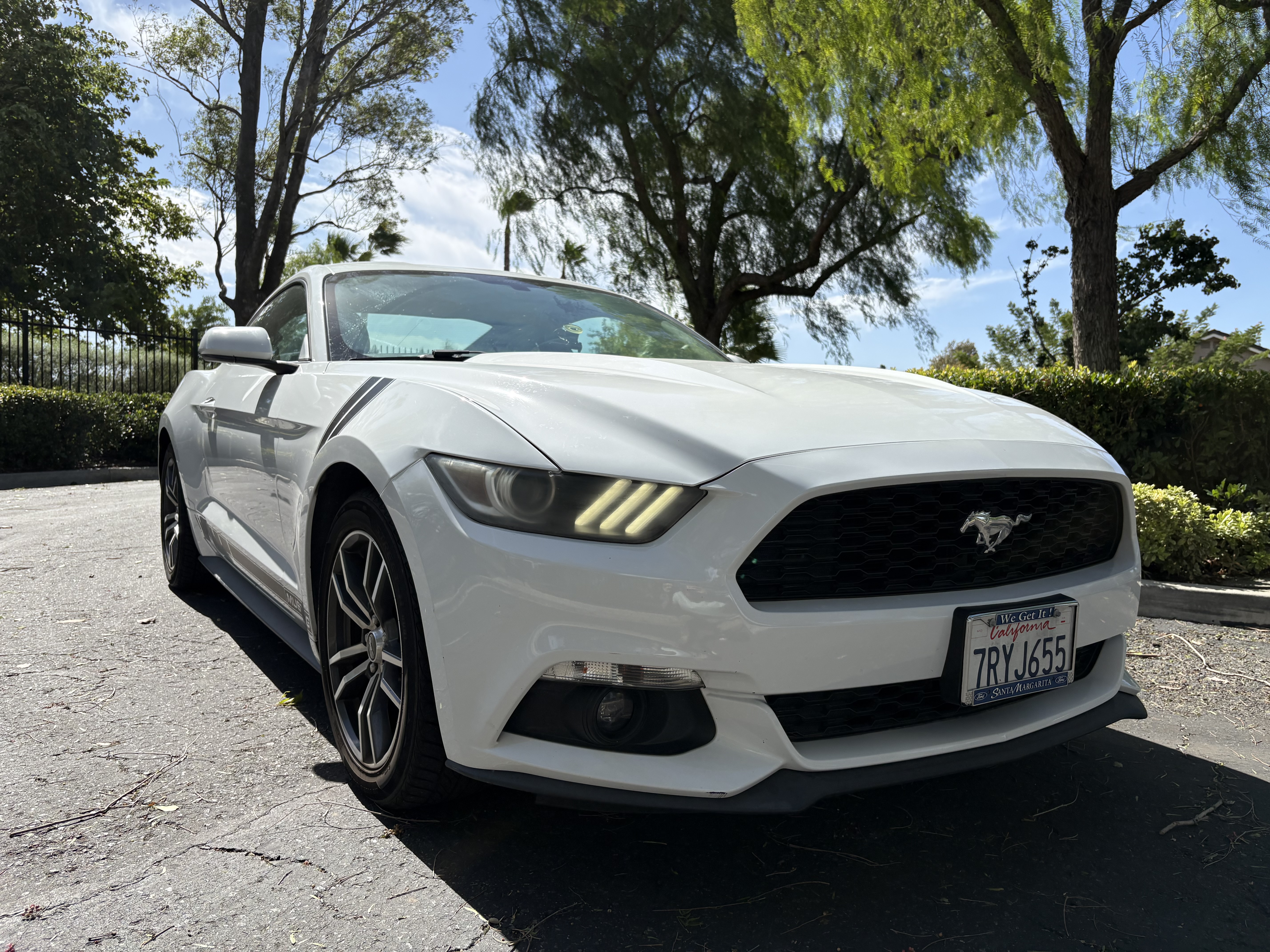 Used 2016 Ford Mustang Coupe RWD image 2