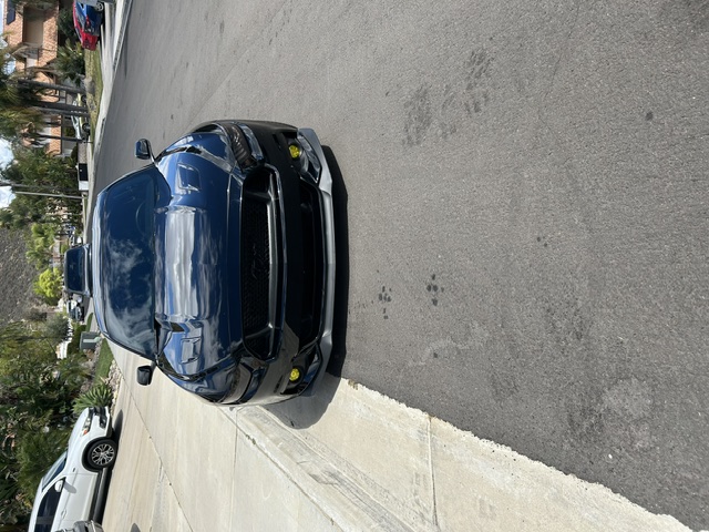 Used 2017 Ford Mustang GT w/ GT Performance Package RWD image 5
