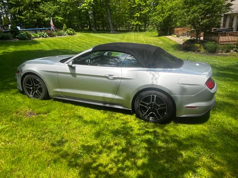 Used 2018 Ford Mustang Premium w/ Equipment Group 201A RWD image 1