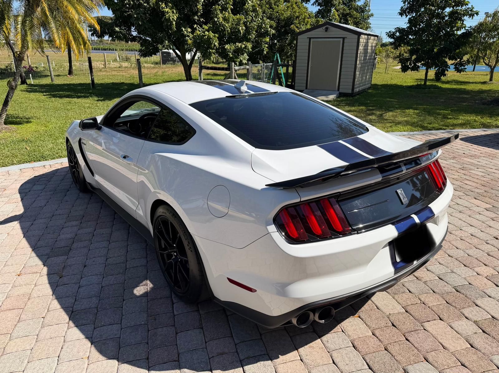 Used 2020 Ford Mustang Shelby GT350 w/ Technology Package RWD image 8