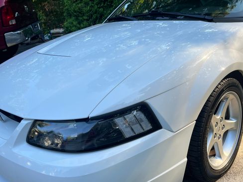 Used 2001 Ford Mustang Cobra RWD image 20