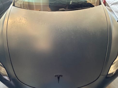 Used 2019 Tesla Model 3 Long Range RWD image 16