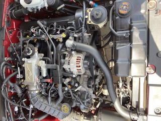 Used 2000 Ford Mustang GT RWD image 13
