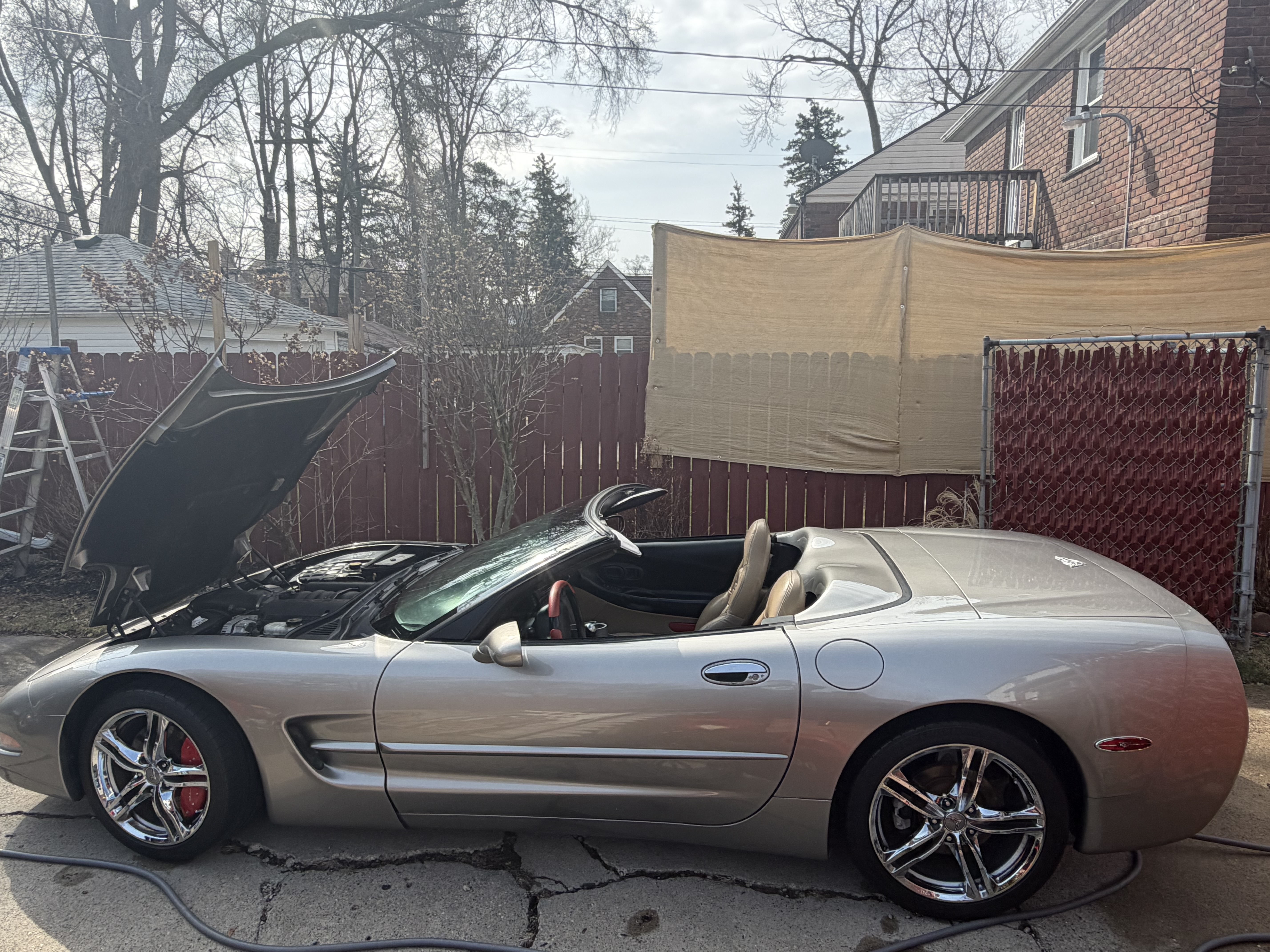 Used 2000 Chevrolet Corvette Convertible w/ Memory Pkg RWD image 21