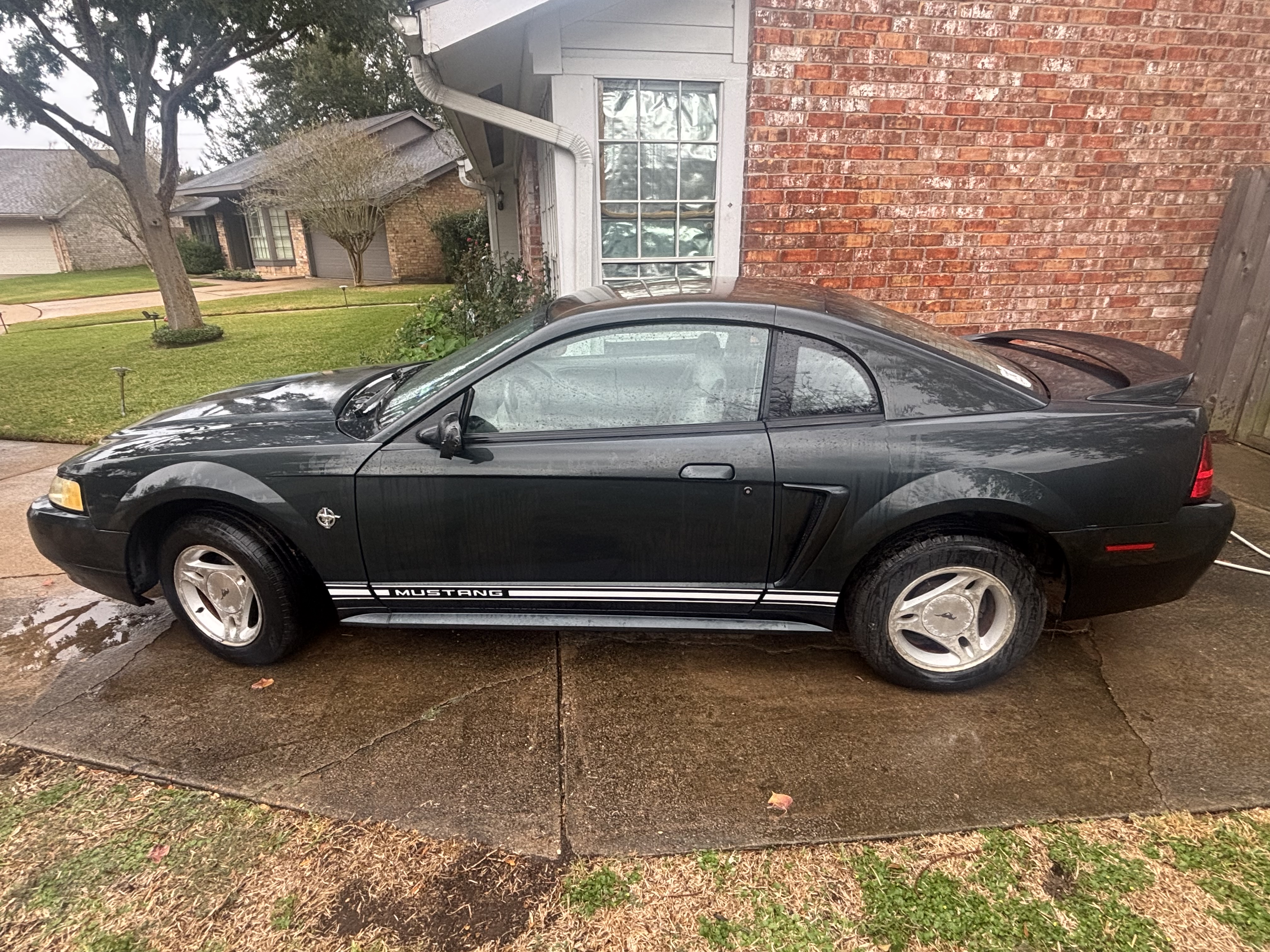 Used 1999 Ford Mustang Coupe RWD image 12