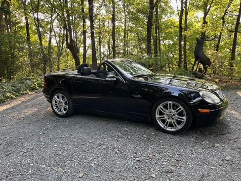 Used 2004 Mercedes-Benz SLK 320 image 1