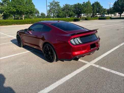 Used 2015 Ford Mustang GT Premium w/ 50 Years Appearance Package RWD image 4