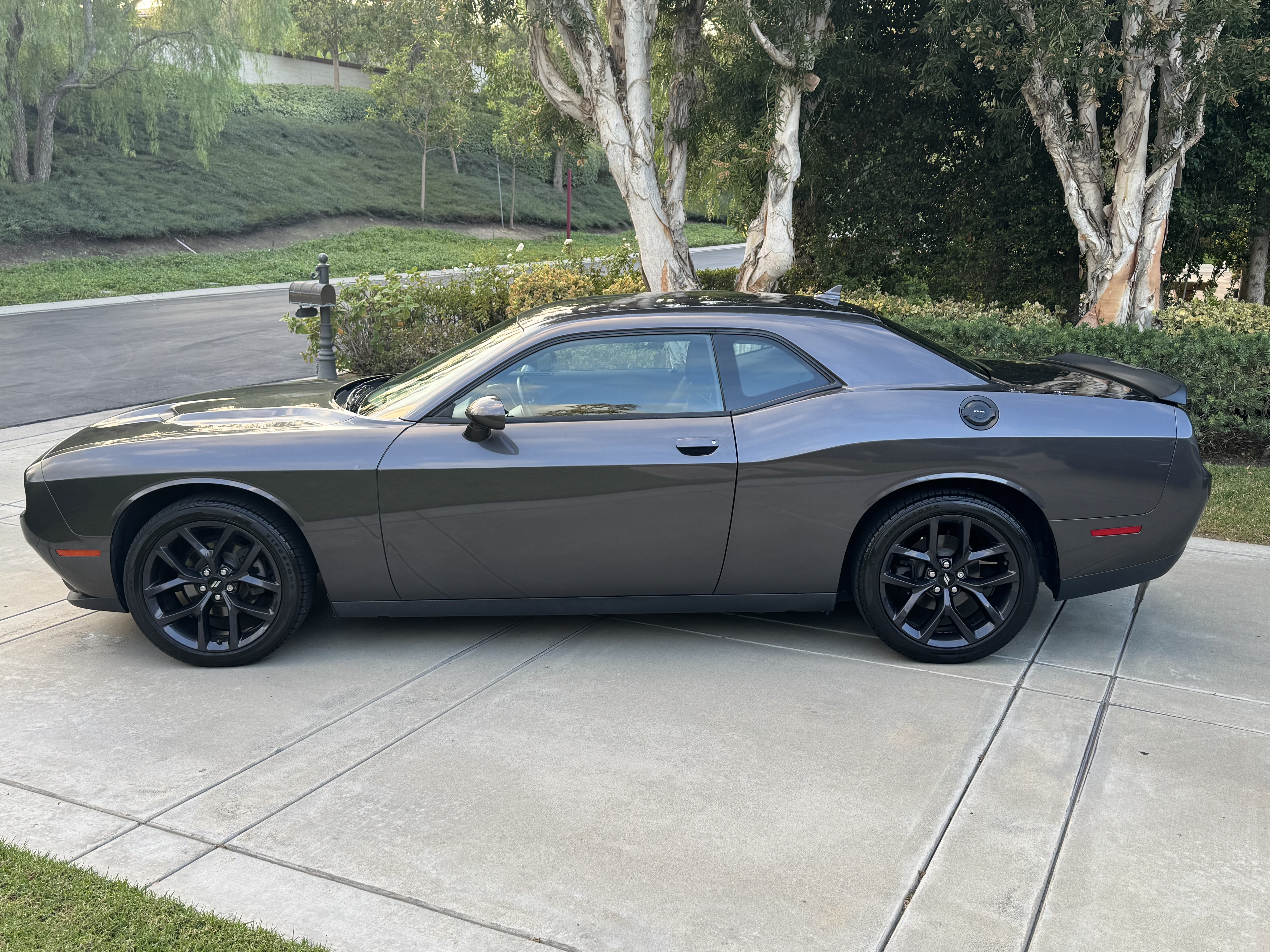 Used 2019 Dodge Challenger SXT w/ Blacktop Package RWD image 5