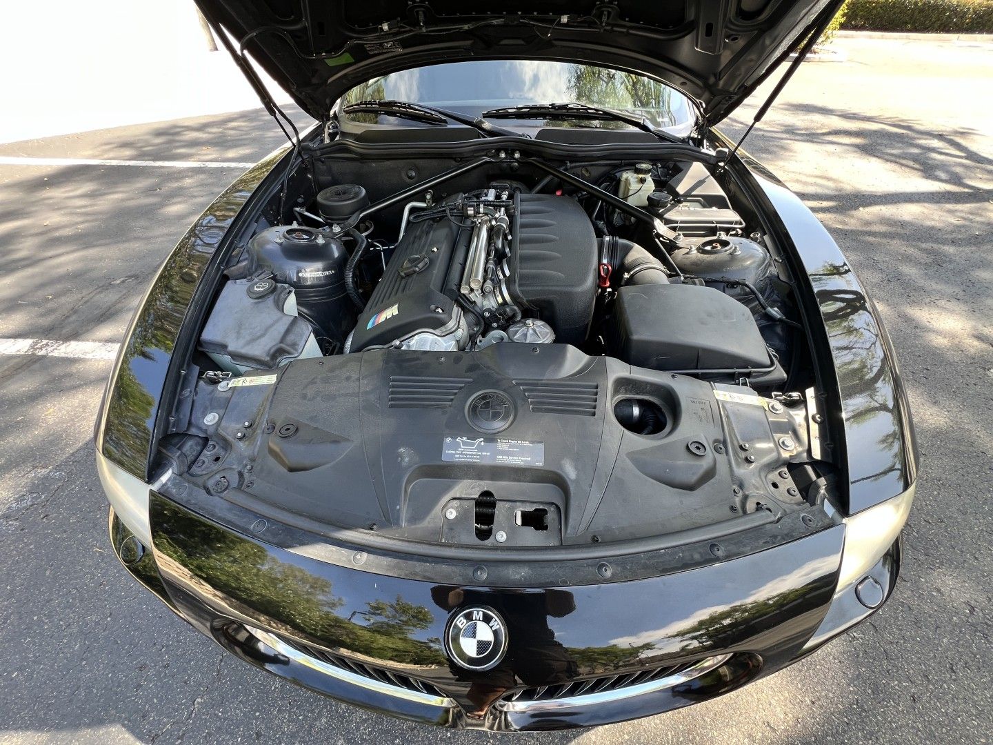 Used 2006 BMW M Roadster RWD image 13