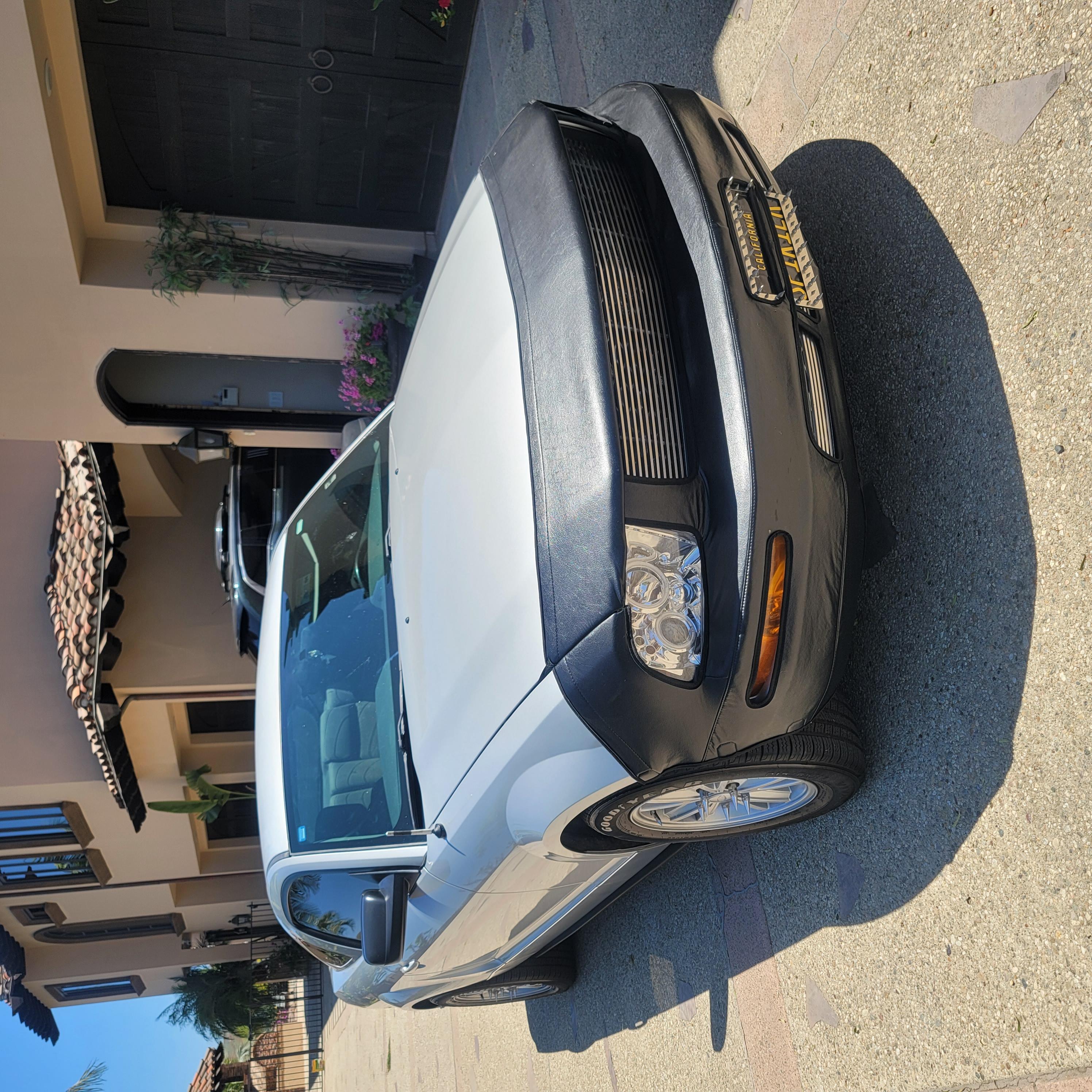 Used 2005 Ford Mustang Coupe RWD image 1