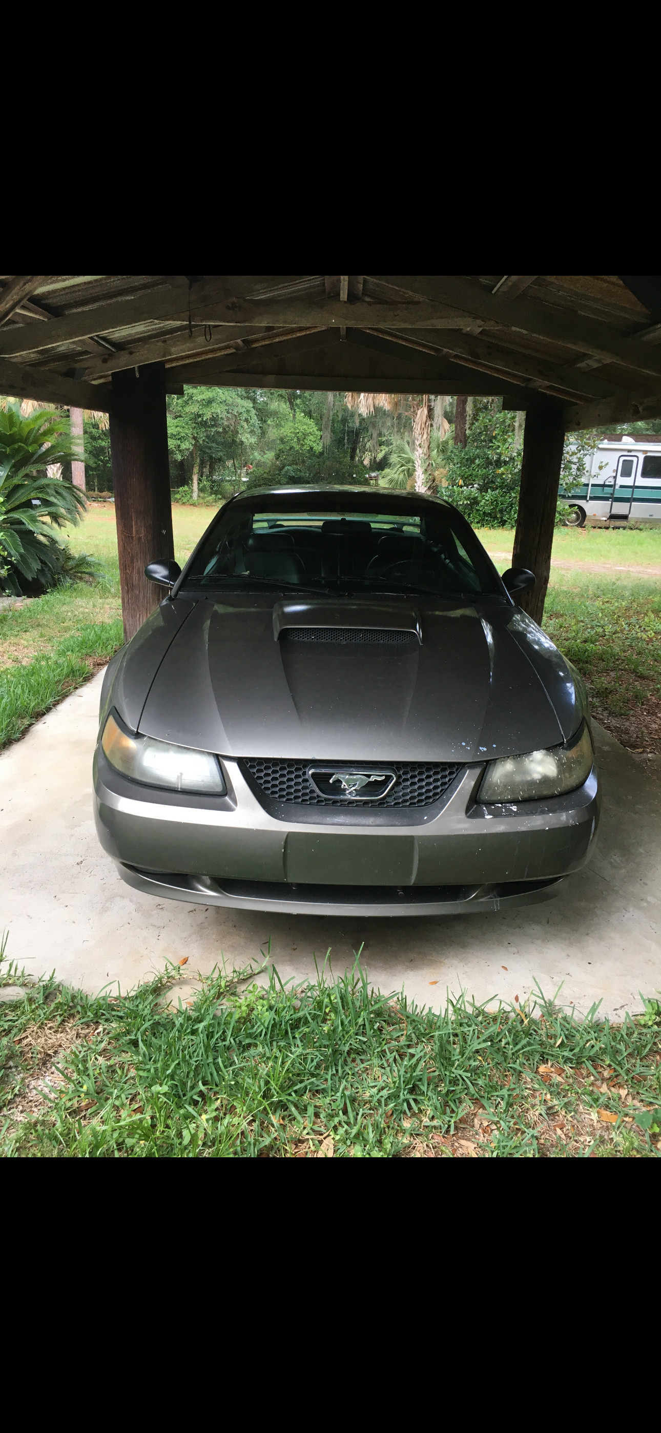 Used 2002 Ford Mustang GT Premium RWD image 4