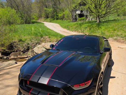 Used 2017 Ford Mustang Shelby GT350R w/ GT350R Equipment Group 920A image 9