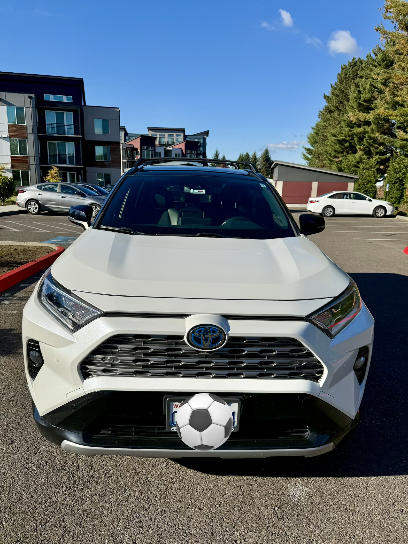 Used 2020 Toyota RAV4 XSE AWD/4WD image 4