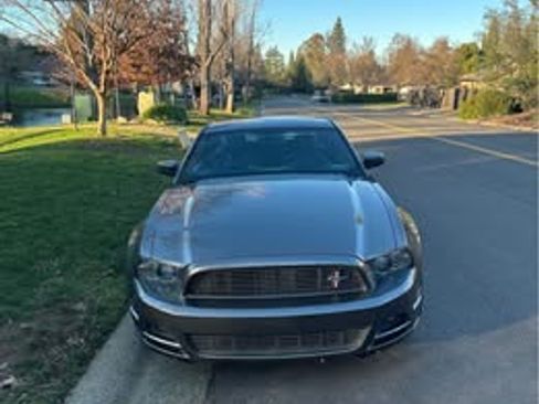 Used 2014 Ford Mustang Premium w/ Equipment Group 203A image 6