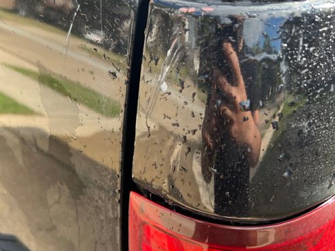 Used 2008 Ford F150 XLT image 21