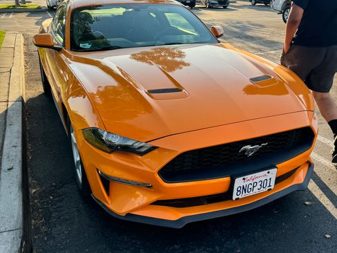 Used 2019 Ford Mustang Coupe RWD image 8