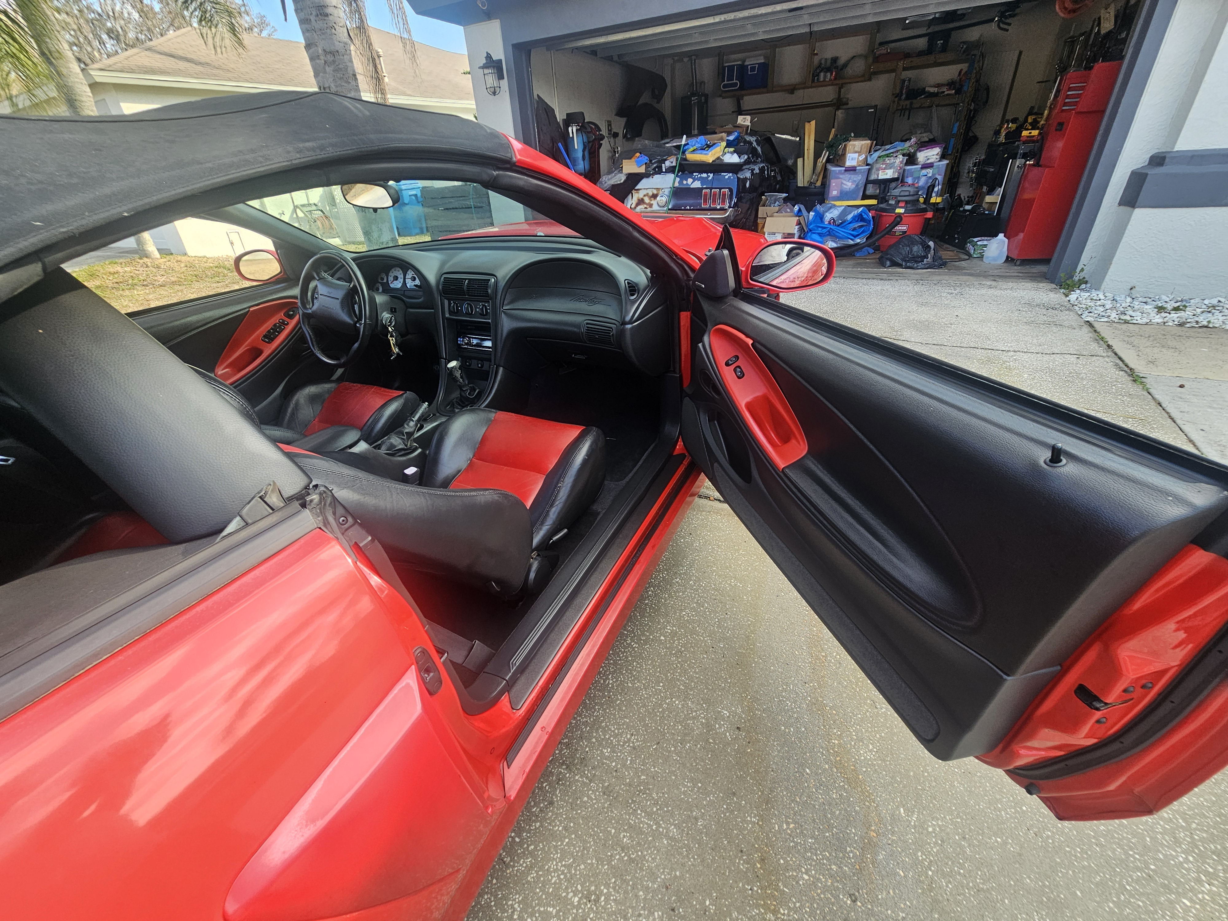 Used 2003 Ford Mustang Cobra RWD image 6