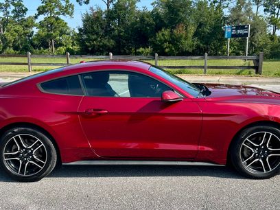 Used 2019 Ford Mustang Premium w/ Equipment Group 201A
