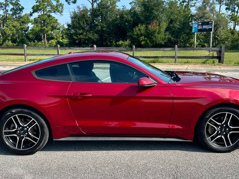Used 2019 Ford Mustang Premium w/ Equipment Group 201A RWD image 1